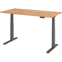 Hammerbacher Bureau réglable en hauteur XDKB | 2-moteurs | 120 - 180 cm | électrique, Dimension plateau:160 x 80 cm, Couleur plateau:Chêne cendré, Couleur piétement:Graphite