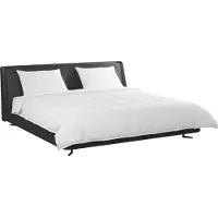 vidaXL Ensemble couette et oreiller 3 pcs Blanc Plume de duvet