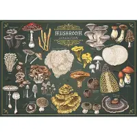 Trefl Puzzle Premium Plus Finders Keepers : Champignons 500 pièces