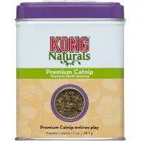 Kong Premium CatNip (Jouet à l’herbe à chat)