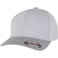 Flexfit Casquette 9295