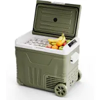 Auronic Electric Cool Box - Compresseur - 50L - 12V et 240 volts - Réfrigérateur de camping - Frigobox Car - Avec roues et poignée - Vert