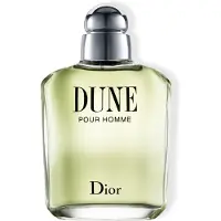 Dior Dune Pour Homme Eau de Toilette Vaporisateur 100ml