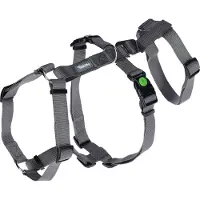 Kerbl Panikgeschirr Miami (grau, Halsumfang 30 - 41 cm, Brustumfang 42 – 55 cm)