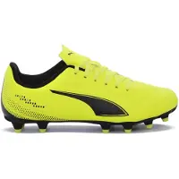 Puma Chaussures Vitoria FG, 10850306