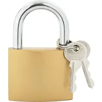 vidaXL U Lock avec Clés 6 pcs Laiton Fer