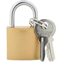 vidaXL U Lock avec Clés 12 pcs Laiton Fer