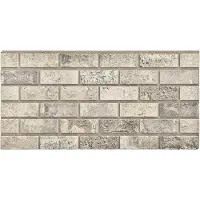 vidaXL Panneaux muraux , lot de 10, couleur sable, 100 x 50 cm, mousse EPS