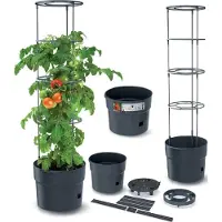 Prosperplast Pot de fleur - IPOM350-S433 - POT DE CULTURE POUR TOMATES 18L - ANTHRACITE