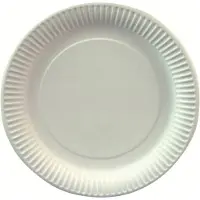 White Label Assiettes en carton Pure, jetables, rondes, Ø 230 mm, qualité alimentaire, certifiées FSC &amp; compostables, blanches, 6 x 100 pièces