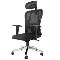 Avalo - Chaise de bureau ergonomique - Noir et plastique - Appui-tête et lombaire réglables - Avec roulettes anti-rayures - Capacité de charge maximale de 150 kg