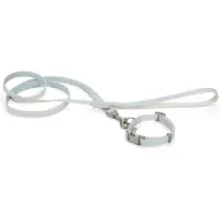 Beeztees Collier De Chien Tori