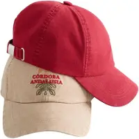 Next Casquette beige / rouge