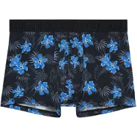 Hom Boxer