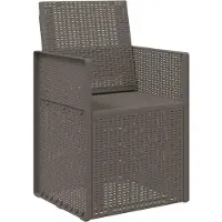 vidaXL Chaises de salle à manger de jardin, lot de 2, gris clair, PP