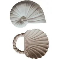 Natruba , anneaux de dentition en caoutchouc naturel, coquillages, dès la naissance, 2 pièces