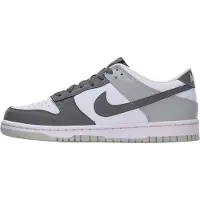 Nike Baskets 'Dunk' gris / gris foncé / blanc