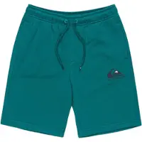 Quiksilver Easy Day Sweat Shorts Bleu 16 Years Garçon