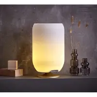Kooduu Enceinte bluetooth sans fil avec lampe led et seau à glace - - ATMOS LAITON - atmos