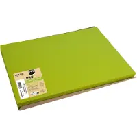 PROnappe Set de table jetable, 400 x 300 mm, kiwigrn (40 x 30 cm)