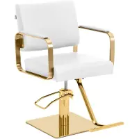 Physa Fauteuil de coiffure Expondo avec repose-pieds - 50 - 66 cm - 200 kg - blanc/doré