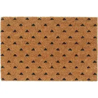 vidaXL Tapis de porte naturel 40x60 cm fibre de coco touffeté