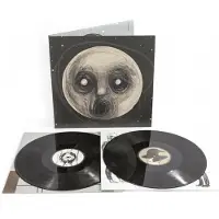 Snapper Consignment Steven Wilson - The Raven That Refused To Sing [Vinyl Lp]