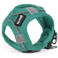 Big Buy Cooking Harnais pour chien Gloria Trek Star 27-28 cm 31-34,6 cm turquoise XS