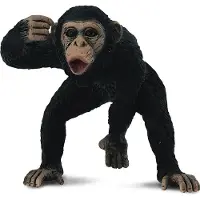 Collecta CHIMPANZÉ - MÂLE (M)
