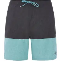 Protest Freddie Swimming Shorts Gris XS Homme