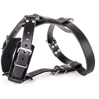 Martin sellier Harnais Pour Chien En Cuir 21/65 Cm Mixte Noir