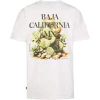 Petrol Industries T-Shirt 'Corrido' vert / noir / blanc