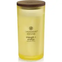 Chesapeake Bay Candle Mind & Body Strength & Energy bougie parfumée 355 g