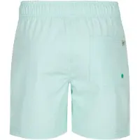 Petrol Industries Maillot de bain 'Cholla' menthe