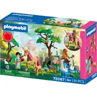 Playmobil Fairies On An Excursion Construction Game Multicolore Enfants