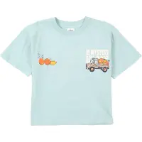 s.Oliver T-Shirt bleu clair / homard / noir / blanc