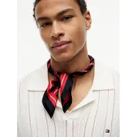 Tommy Hilfiger Écharpe bleu / bleu marine / rouge