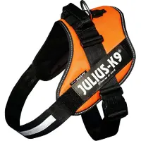 JULIUS K-9 Idc Power Dog Harness Orange L-1
