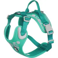 Hurtta Harnais Weekend Warrior vert paon 45-60cm