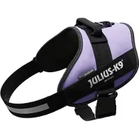 JULIUS K-9 Idc Power Dog Harness Violet 2XL-3