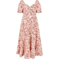 Apricot Robe ' ' rose