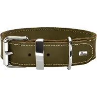 Hunter Collier Aalborg Special (L, Chien)