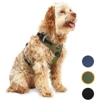 Jake and Jacky Harnais pour chien, Jake et Jacky, Harnais anti-traction, Réfléchissant, Taille M, Vert