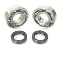 P2r Roulement Ou Joint Spi Moteur Pour Scooter Peugeot 50 Ludix Blaster 2005 À 2016 Neuf