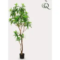 Green Boutiq Plante artificielle - Dracaena - Dragonnier