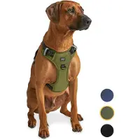 Jake and Jacky Harnais pour chien - Harnais anti-fugue - Réfléchissant - Vert - Taille L
