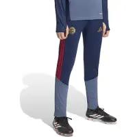 Adidas Pantalon de sport 'FC Bayern München 26/27' bleu marine / saphir / rouge