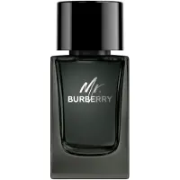 Burberry Mr. Eau de Parfum pour homme 100 ml