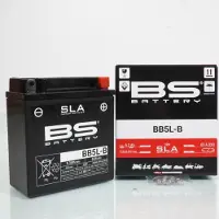 Bs Battery Batterie Sla Pour Scooter Malaguti 50 Ciak Td 2000 À 2001 Neuf