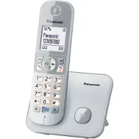 Panasonic KX-TG6811 - Téléphone sans fil avec identification de la ligne appelante - DECT - Pearly Silver
